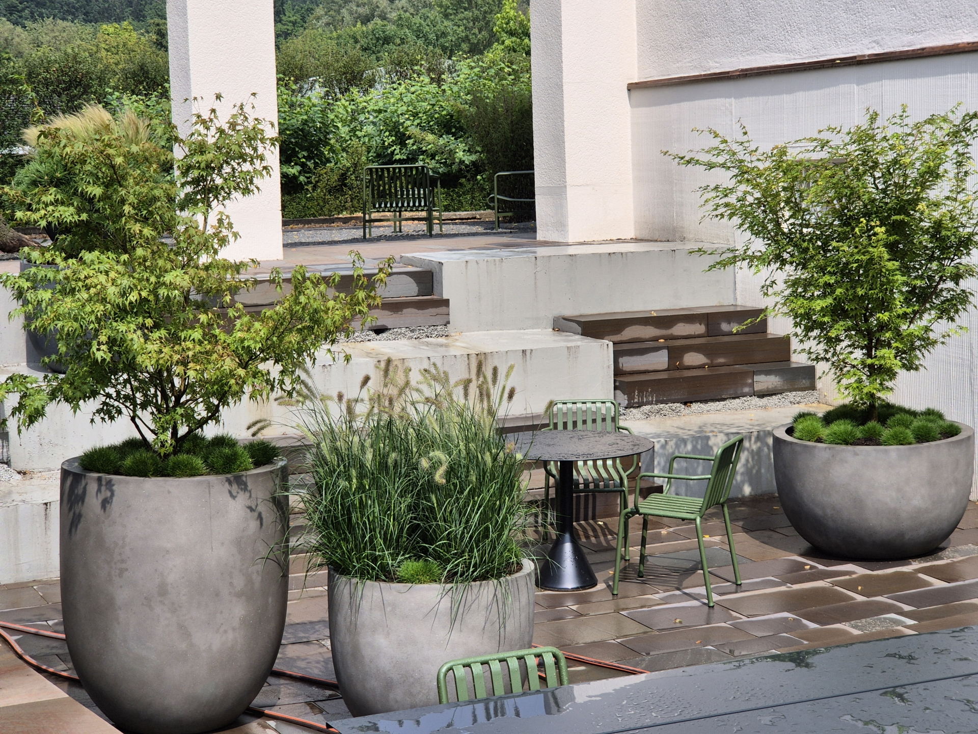 Große, runde Pflanzgefäße aus Beton mit verschiedenen Pflanzen, darunter Gräser und kleine Bäume, auf einem gepflasterten Bereich.