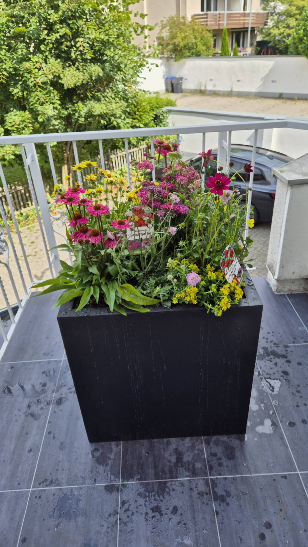 Schwarzer Pflanzkübel mit bunten Blumen, darunter Margeriten, Astern und andere Pflanzen, auf einem Balkon platziert.