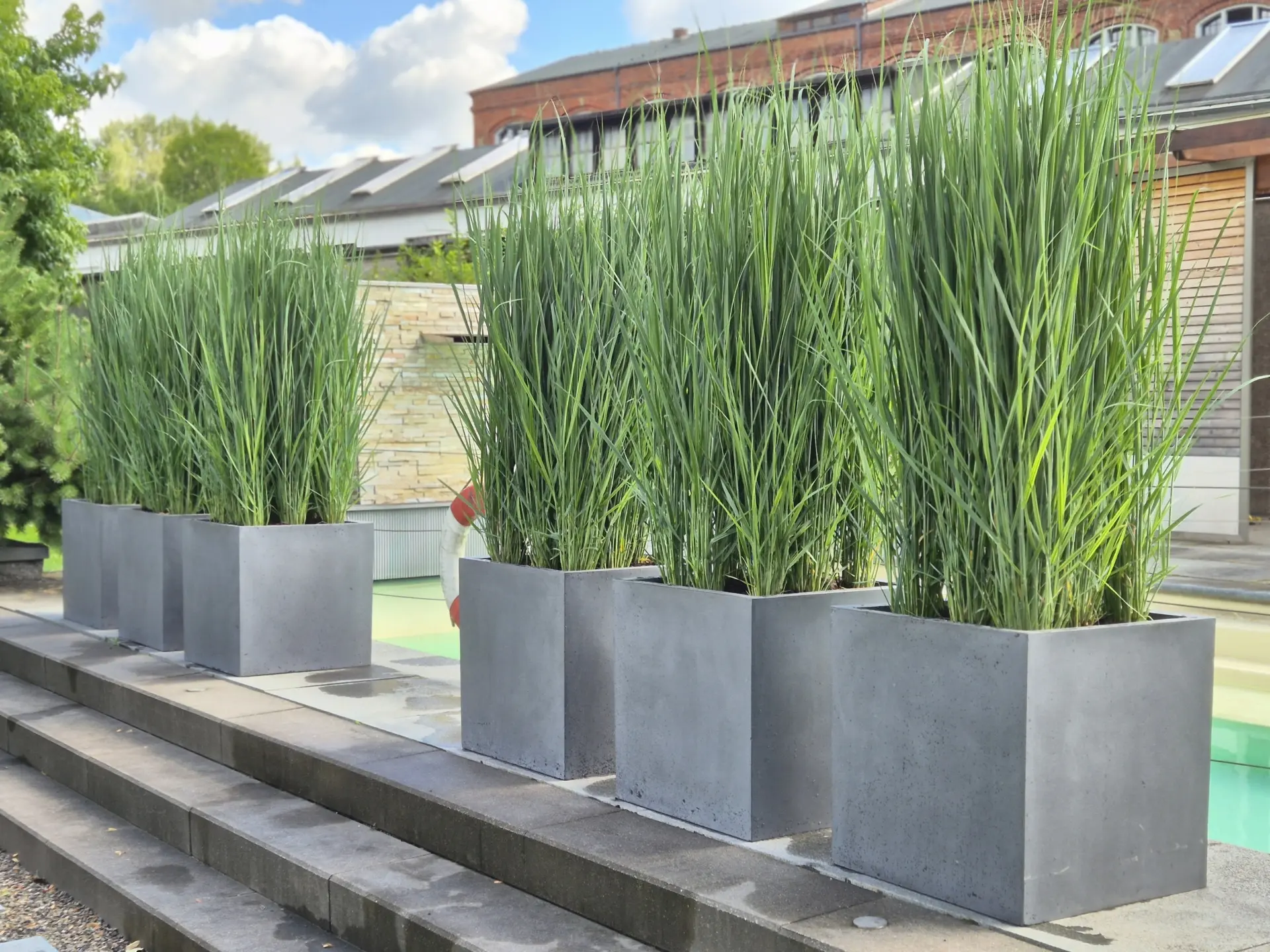 Blumenarrangement mit roten Blüten und grünen Blättern in einer runden Schale.