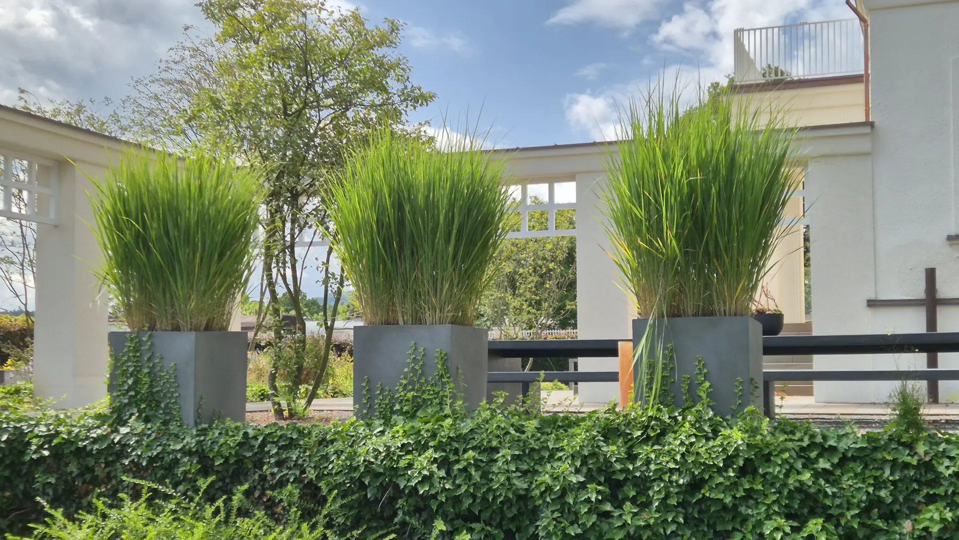 Blumenarrangement mit roten Blüten und grünen Blättern in einer runden Schale.